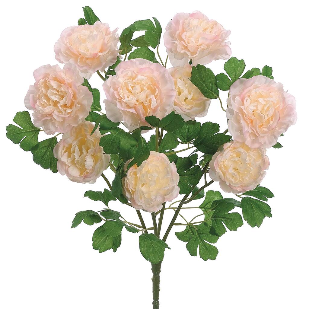 D264104S_1.jpg img